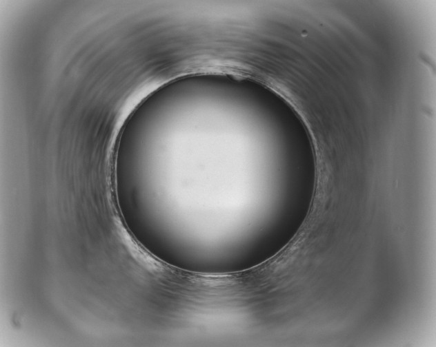 X0000103281152200808291306