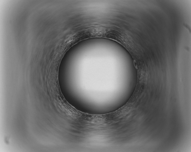 X0000103281153200808291305