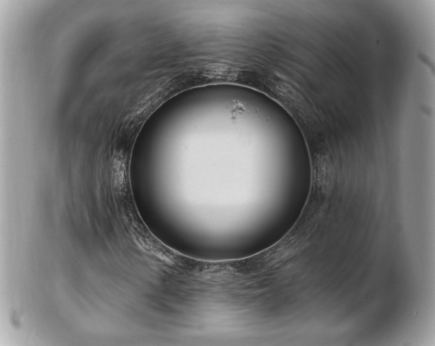 X0000103281154200808291305