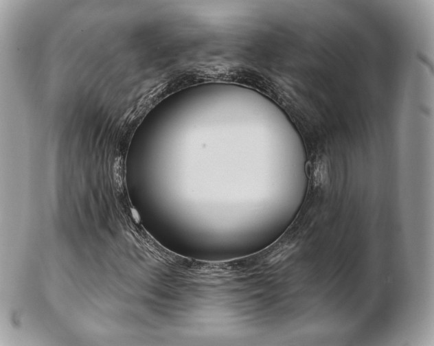 X0000103281156200808291305