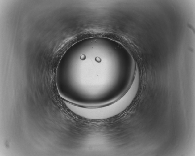 X0000103281157200808291305