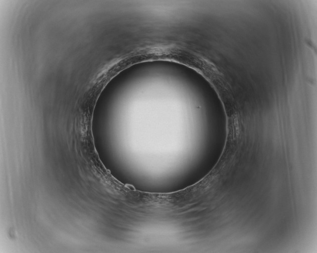 X0000103281158200808291305