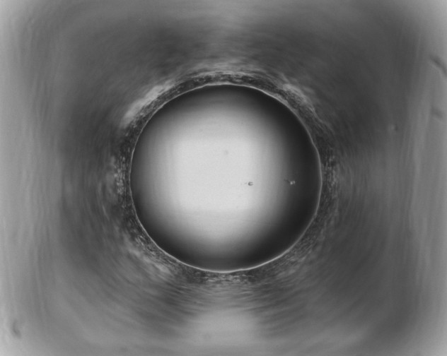 X0000103281159200808291305