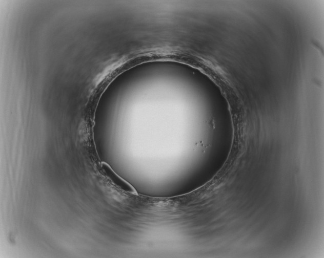 X0000103281160200808291305