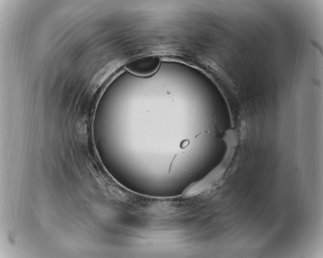 X0000103281162200808291305