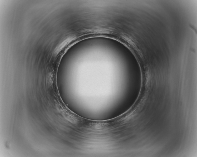 X0000103281163200808291305