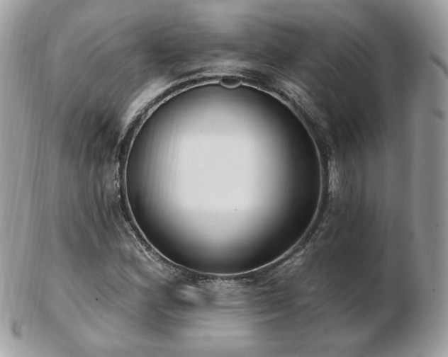 X0000103281164200808291305