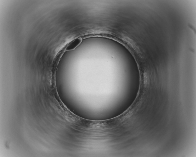 X0000103281165200808291305