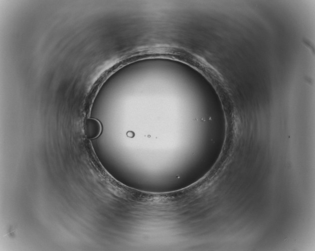 X0000103281166200808291305