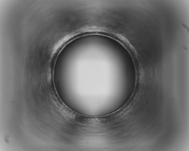 X0000103281167200808291305