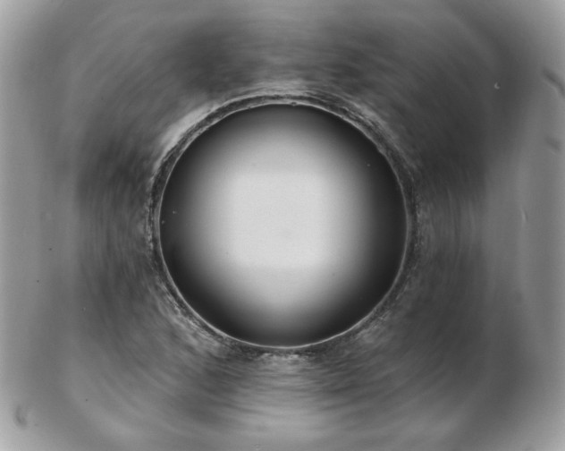 X0000103281168200808291305