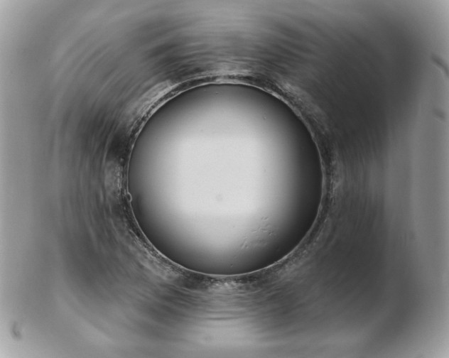 X0000103281169200808291305