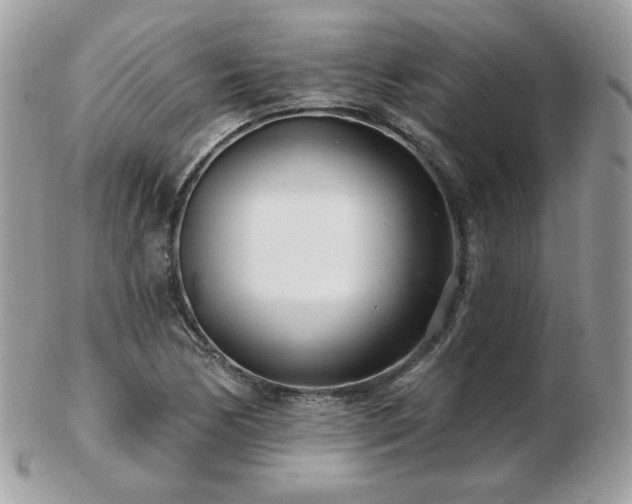 X0000103281170200808291305