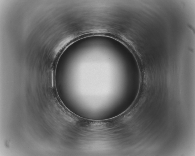 X0000103281171200808291305