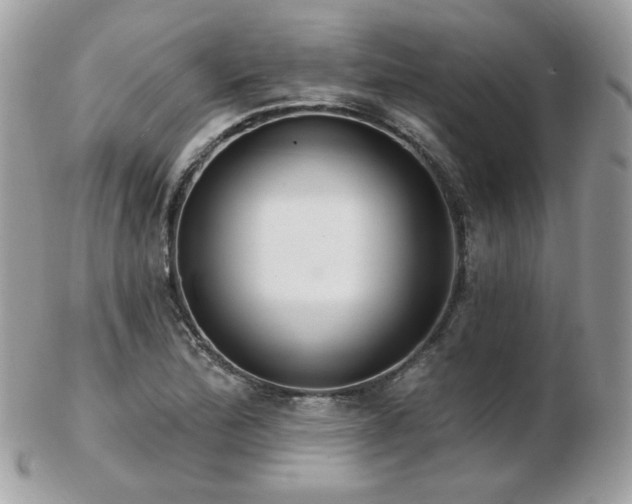 X0000103281172200808291305