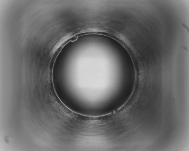 X0000103281173200808291305