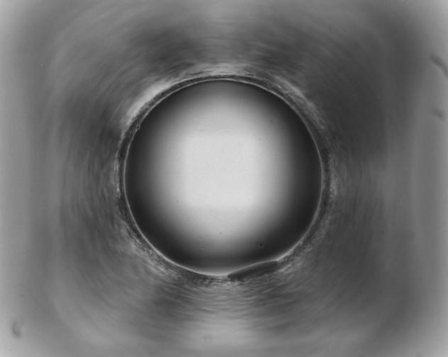 X0000103281174200808291305