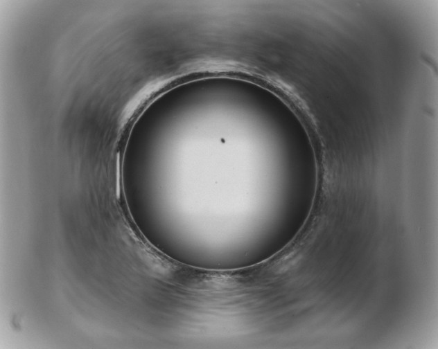 X0000103281175200808291305