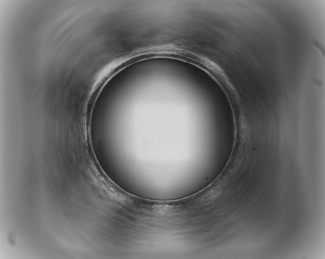 X0000103281176200808291305