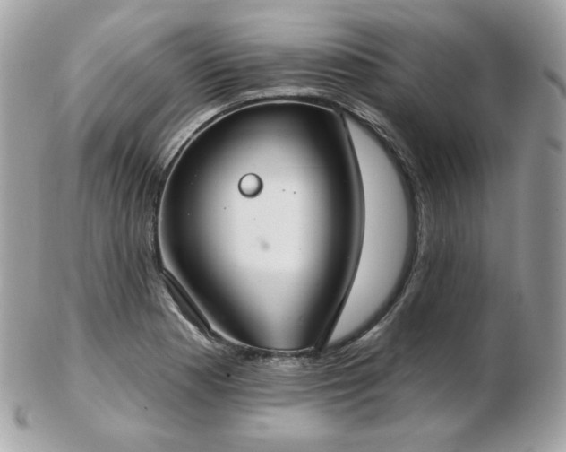 X0000103281177200808291305