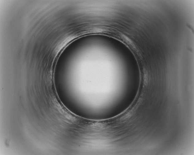 X0000103281178200808291305