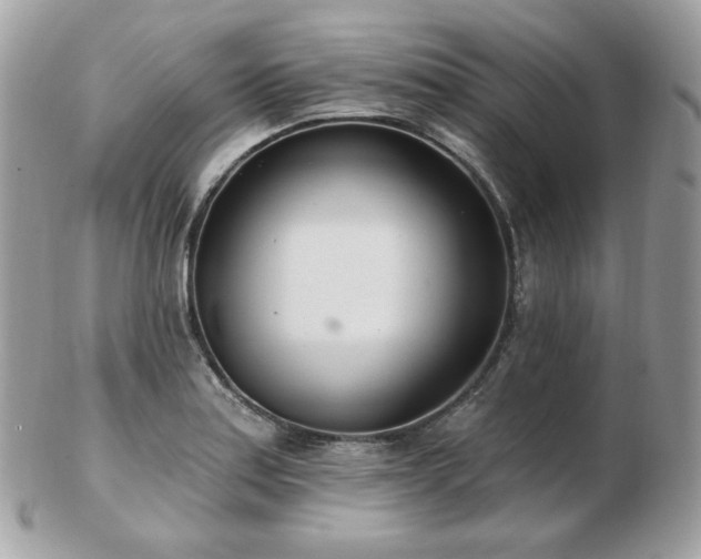 X0000103281179200808291305