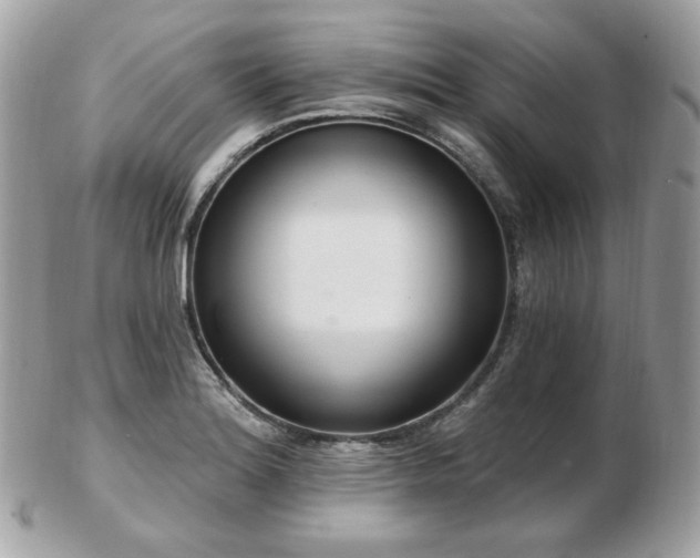 X0000103281180200808291305