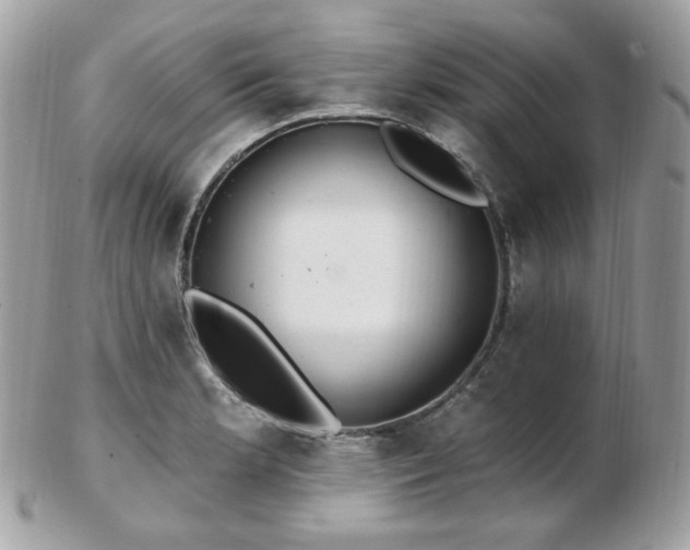 X0000103281181200808291305