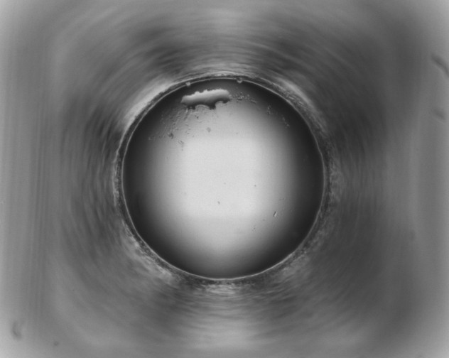 X0000103281182200808291305