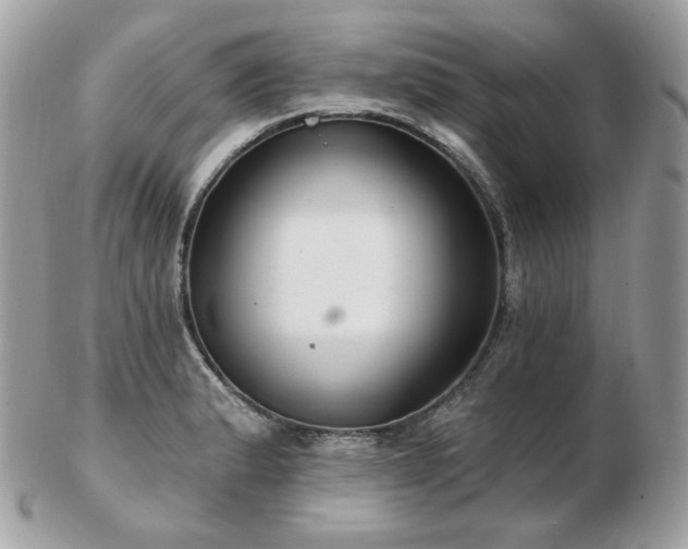 X0000103281183200808291305