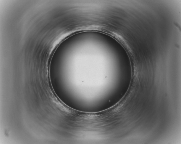 X0000103281184200808291305