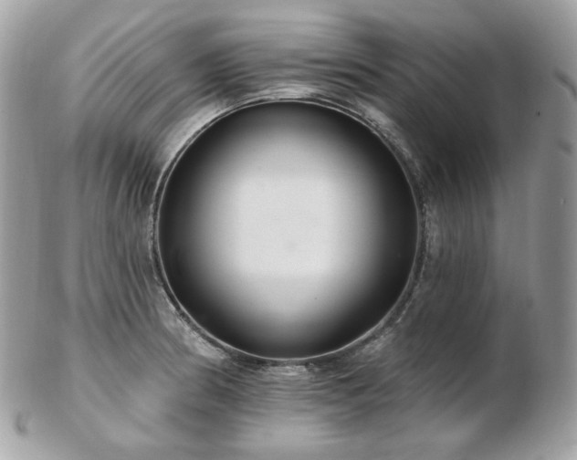 X0000103281186200808291305