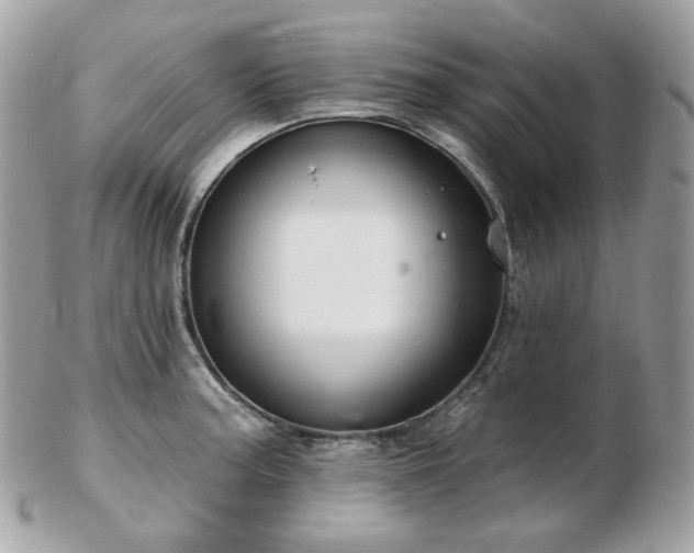 X0000103281187200808291305