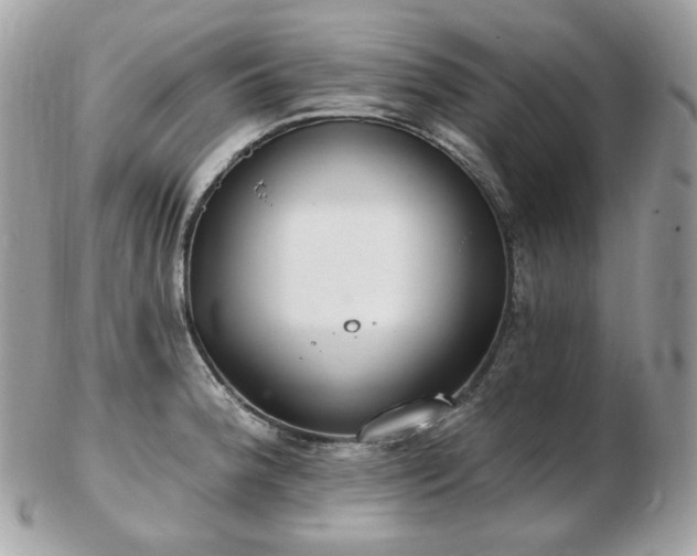 X0000103281188200808291305