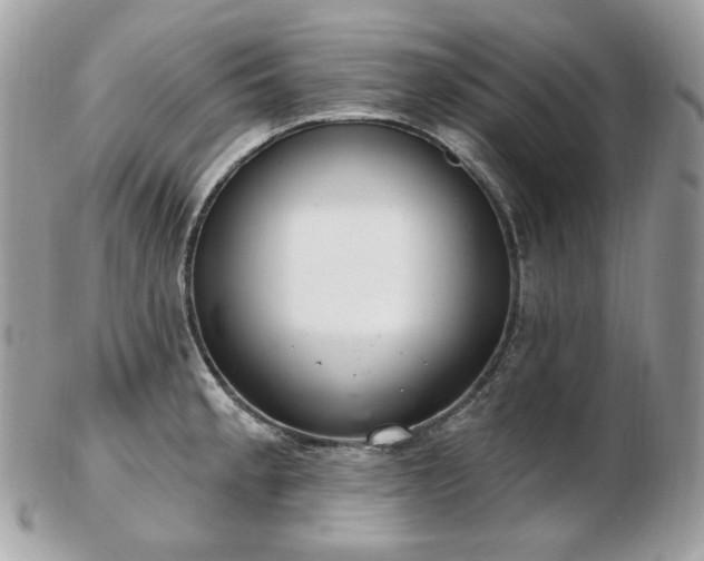 X0000103281189200808291305