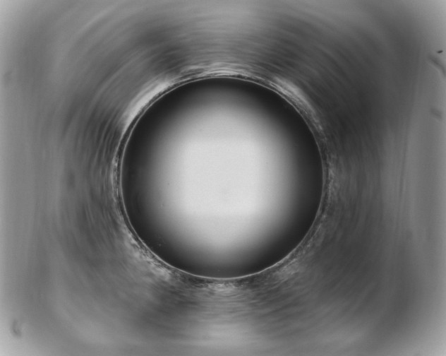 X0000103281190200808291305