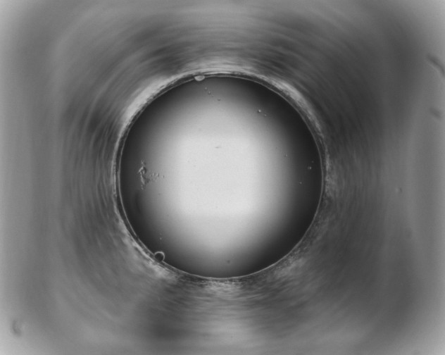 X0000103281191200808291305