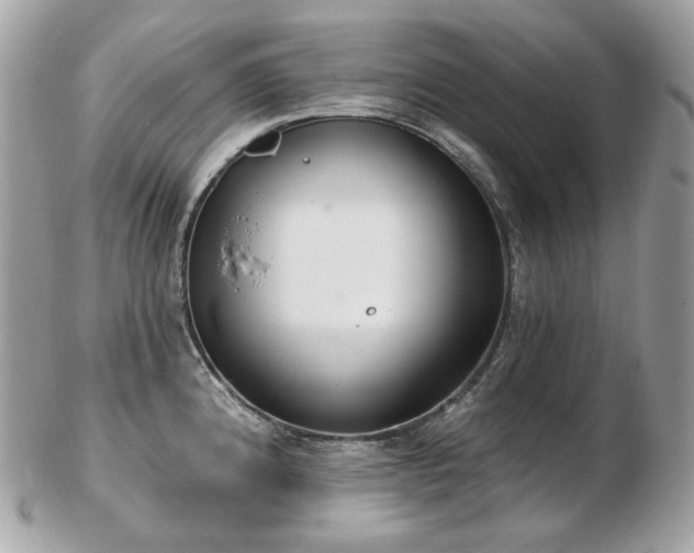 X0000103281192200808291305