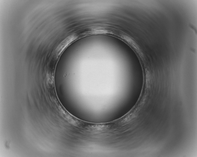 X0000103281193200808291305