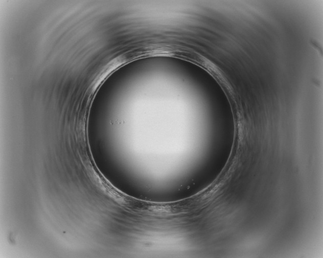 X0000103281194200808291305