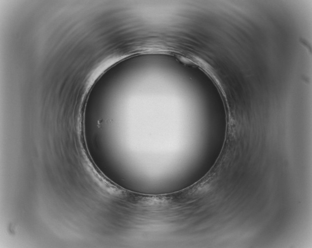 X0000103281195200808291304