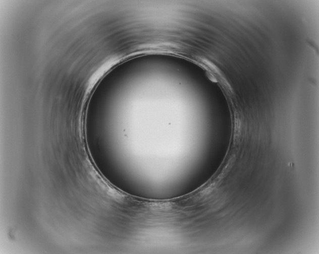 X0000103281196200808291304