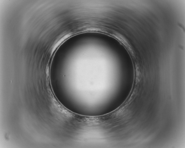 X0000103281198200808291304