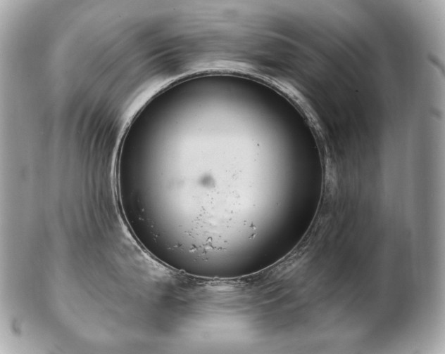 X0000103281199200808291304