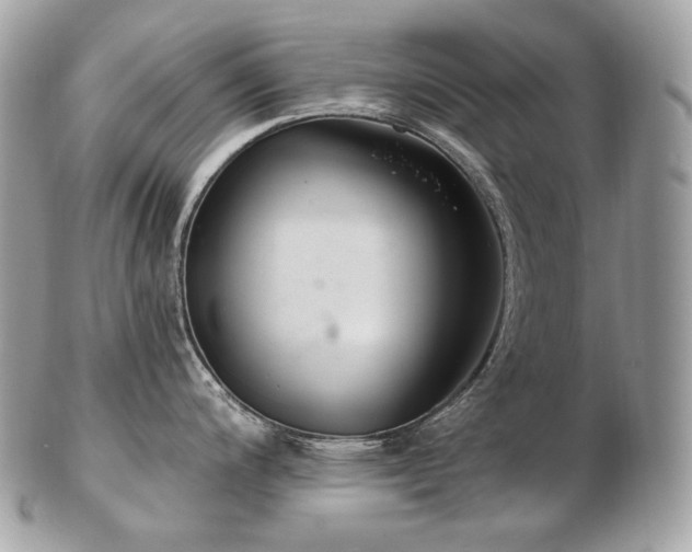 X0000103281200200808291304