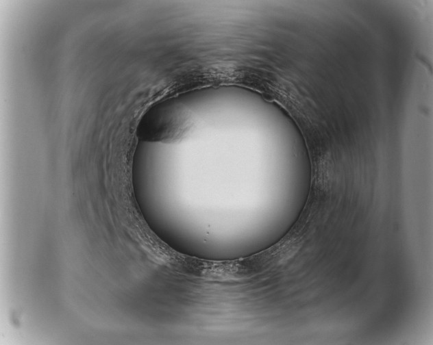 X0000103281201200808291304