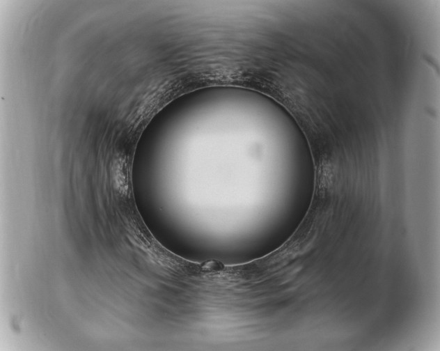 X0000103281202200808291304