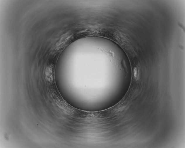 X0000103281203200808291304