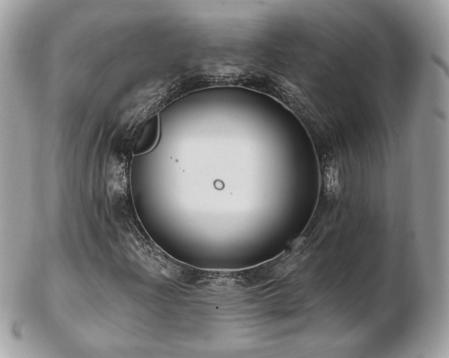 X0000103281204200808291304