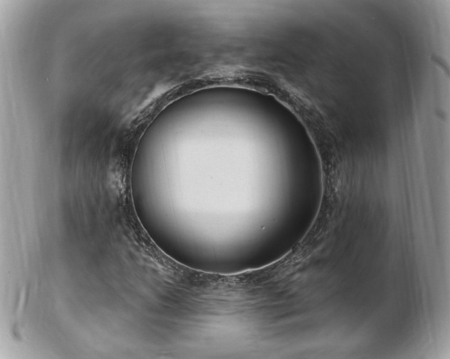 X0000103281206200808291304